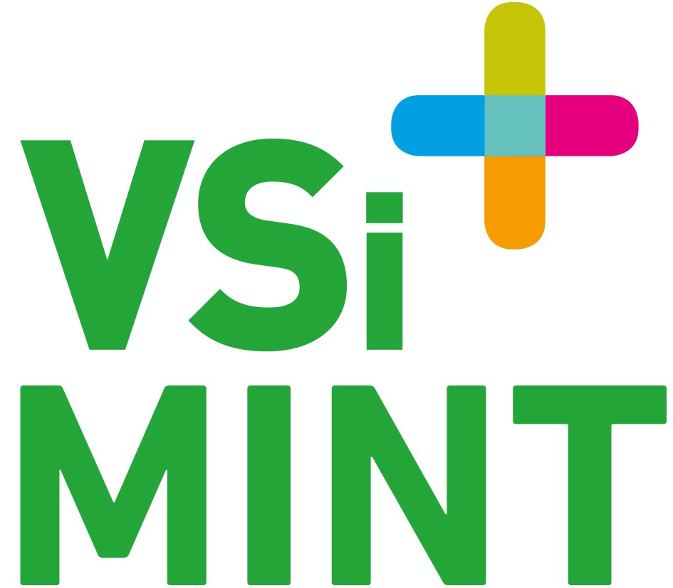 VSI logo